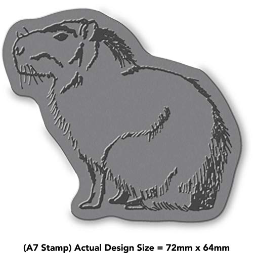 'Sitting Capybara' Rubber Stamp - Unmounted Design for Crafting & Scrapbooking, A7 (RS00012852)