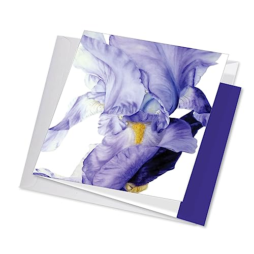 Cartes de vœux et enveloppes Jumbo Ppc4949 irisé pour signatures de groupe
