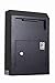 Protex Wall-Mount Drop Box Safe (WDS-150), Piano hinge, secure suggestions, ballots, keys, mail, money, rent checks and more, Metal baffle to protect slot, Black