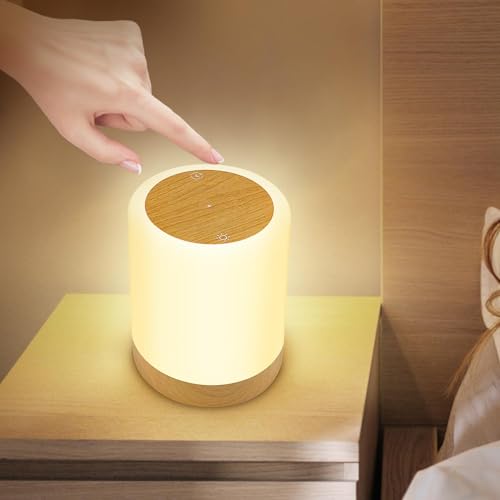 AISUO Touch Control Bedside Lamp, Camping Light with Dimmable Function, Multiple Colour & Timing Function, Adjustable Brightness for Kids Room Living Room,Christmas, Party.¡­