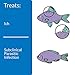 API LIQUID SUPER ICK CURE Fish remedy, Freshwater and Saltwater Fish Medication 4 fl oz(Pack of 1), White