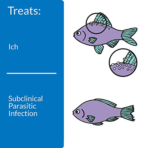 API LIQUID SUPER ICK CURE Fish remedy, Freshwater and Saltwater Fish Medication 4 fl oz(Pack of 1), White - Image 4