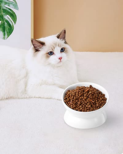 Image of LoeJan Elevated Cat Food Bowl, 5 Oz Ceramic Raised and Tilted Water Bowl, Anti Vomiting and Protect Pets' Spines Dishes for Small Dog, Fat Faced Cat, Kitten (White, 1 Pack)