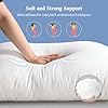 Sherwood Hotel Collection Bed Pillows for Sleeping 2 Pack King Size, Soft Microfiber Cover and 3D Super Soft Down Alternative Filled White Pillows (King)