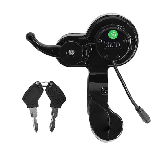 Xinsheinelry Interruptor de alimentación para patinete eléctrico, pantalla LCD, panel de salpicadero, aceleradores, instrumentos