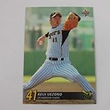 BBM2009阪神タイガース■レギュラーカード■T019/上園啓史 ≪ベースボールカード≫