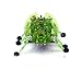 HEXBUG Beetle