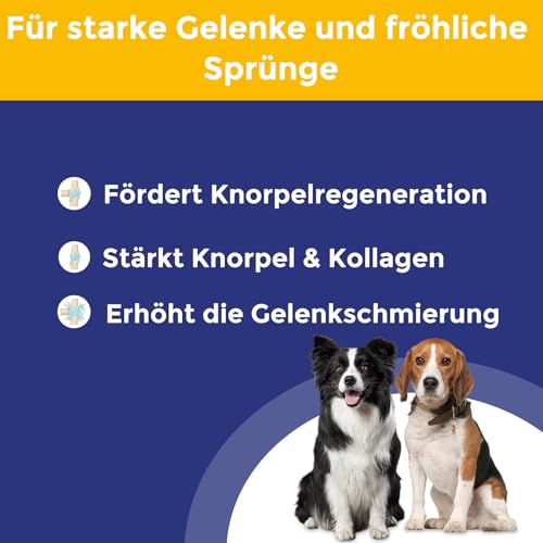 Gelenktabletten für den Hund (180 Stück) – zur Gelenkunterstützung mit Chondroitin & Kollagen – halten sie ihren Hund gesund & beweglich – Hundeleckerli mit Milchcalcium