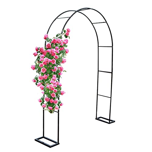 SDdPulse K[fA[` [YA[`gX A NC~OX^h p[SA[o[  EFfBOA[`t[ ŐeXp x[Xt tȒP (ubN260x230x25cm)