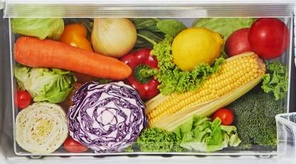 TOSHIBA GR-B31INU(UK) Refrigerator Dimensions