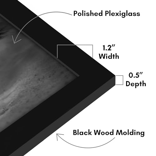 Americanflat 19x28 Poster Frame with Polished Plexiglass - Black Picture Frame - Wide Photo Frames Made of Engineered Wood for Vertical or Horizontal Wall Display - Epic Collection - Black