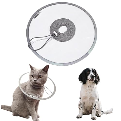 LifetipsCObVXvK[XpjGLp GUxXJ[ h \tg y pPA ی Ȃߖh~ p EȒP 􂦂 PAJ[(NAj(Lj