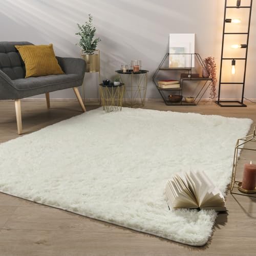 TT Home Tapis De Salon Tapis Shaggy Poil Long Doux Peluche Design Moderne Monochrome,...