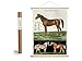 Produktbild Cavallini Vintage Poster Set mit Holzleisten (Rahmen) und Schnur zum Aufhängen, Motiv Pferd