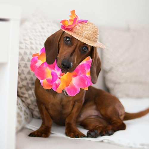 Disfraz hawaiano para perros con lei y sombrero miniatura 5