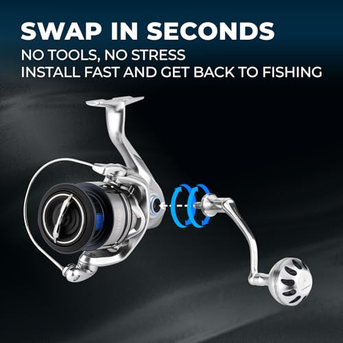 Amazon.com: GOMEXUS: New Arrivals