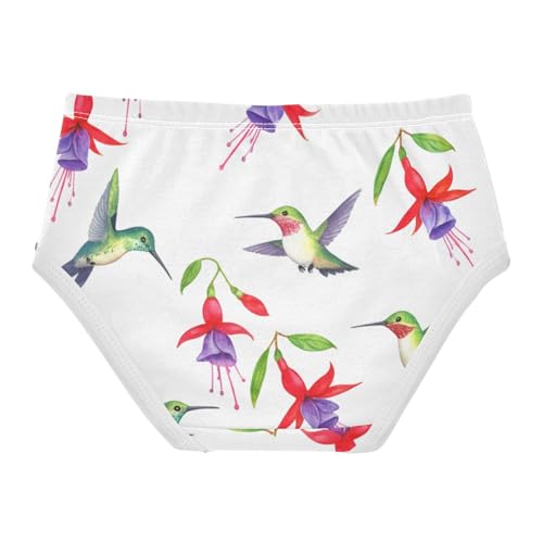 Funny Toddler Girls Underwear 2t Cotton Panties for Girl Watercolor Hummingbirds Flowers White Underpants Briefs2