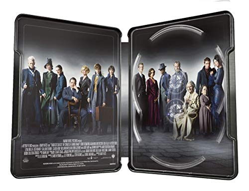 Phantastische Tierwesen: Grindelwalds Verbrechen – 4K Steelbook (UHD + Blu-ray Disc)