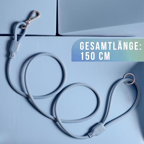 ne&no® Hundeleine 1,5 m Loft Design | Schmutz- & Wasserfest | Führleine für Hunde | Leine Hund | Dog Leash | Blau