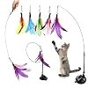 Dorakitten Interaktives Katzenspielzeug Federn – Katzen Spielzeug katzenangel Saugnapf Fest Handheld Stahldraht mit 5 Stück Natürlicher Federkopf Ersatz Set Glocken Zauberstab Spielzeug für Katze