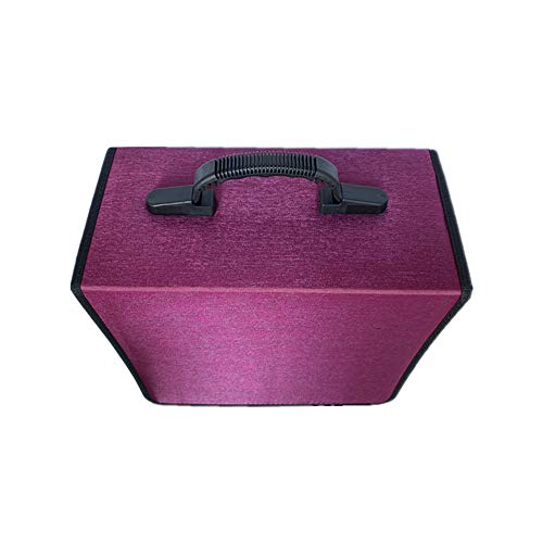 Penlonda Cd/Dvd Case Holder Organizer Wallet Sleeves Booklet Binder,Storage 400 Capacity Disc(Rose) #TOP5