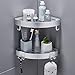 TRUSTLIFE 2 PCS Estante de Esquina para Ducha de Baño Organizador Montado en la Pared Autoadhesivo sin Taladrar Canasta de Almacenamiento de Aluminio con 4 Ganchos Extraíbles para Baño Inodoro