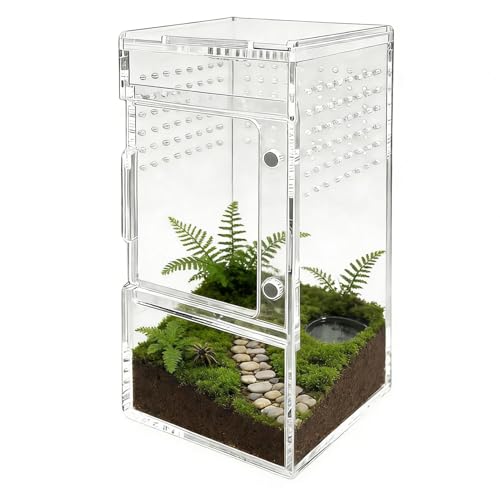 Terrario para arañas de Saltar, de acrílico Transparente con Apertura Deslizante y ventilación, con Tapa Deslizante, pequeño terrario, para Serpiente, Gecko, Planta, Roca