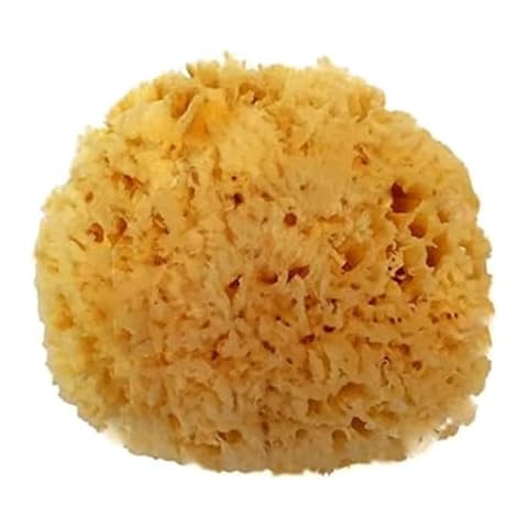 Spa Destinations Natural Sea Wool Sponge 5-6" Natural Renewable Resource Bath & Shower Cover