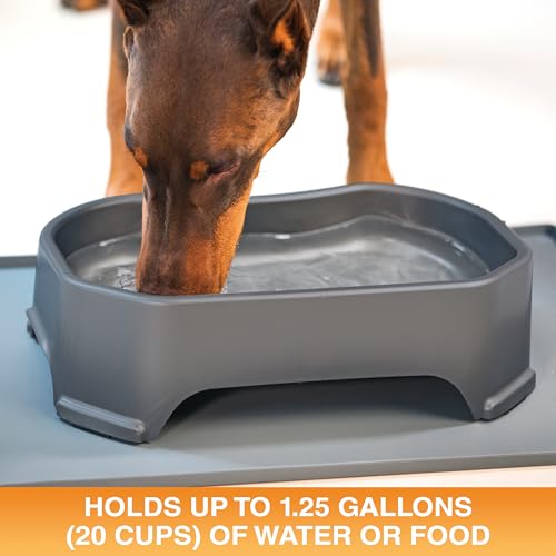 Image of Neater Pet Brands Extra Large Water Bowl for Dogs, Outdoor Dog Water Bowl (1.25 Gallon XL Capacity), Big Trough Style Food Dish for Indoors or Outside, No Spill Large Dog Bowls, Gunmetal Grey