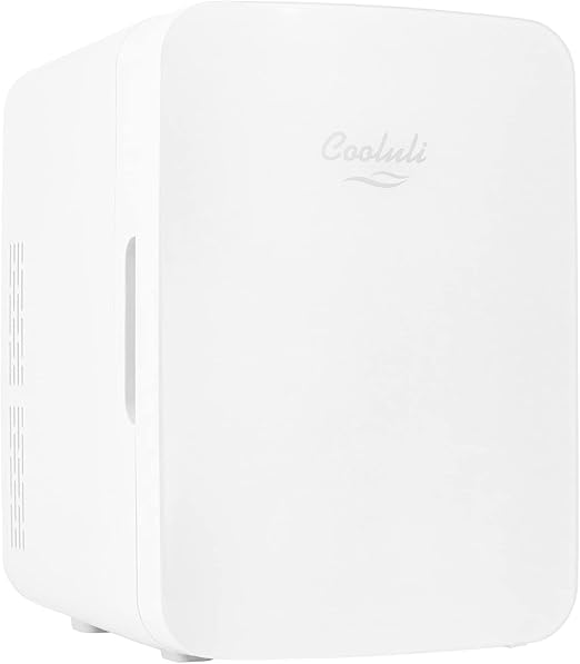 Cooluli 10L Mini Fridge for Bedroom Car, Office Desk & College Dorm