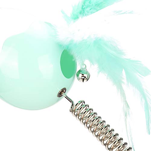 banapoy Brinquedo de mola para gato, casca de ovo transparente de plástico fino acabamento, brinqued