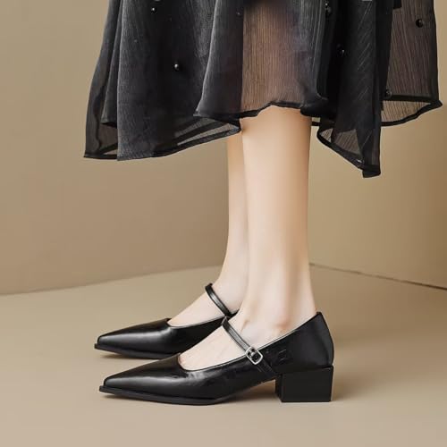 LUXINYU Women Comfortable Microfiber Upper Pointed Toe High Heels Metal Buckle Strap Block Chunky Low Heel Pumps Fashion Party Dress Shoes Work Shoes 7