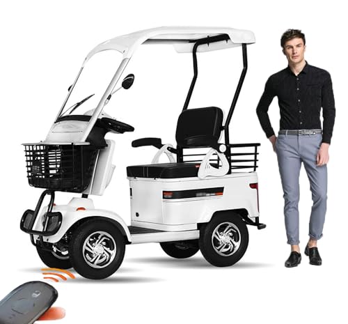 DIMHLCDZA 2 Passenger Electric Cruiser