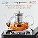 DOPUDO 40OZ (1200ML) Glass Teapot with Infuser Stovetop Safe, Clear Glass Tea Pot Kettle, Borosilicate Tea Pot with Infusers Filter for Loose Tea, Tea Kettle Dishwasher Safe
