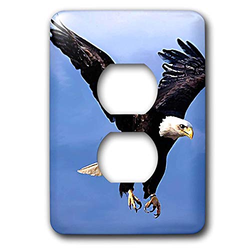 Cache de sortie 2 prises 3dRose avec motif Bald Eagle lsp_585_6 pour protéger et embellir