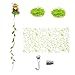 MinrzPet Magnetic Jumping Spider Habitat Decor Set - Mushroom Hideout, Climbing Web & Wood Platforms with Magnets for Enclosure Decoration