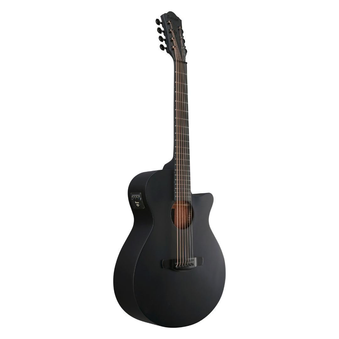 Amazon.com: Ibanez AEG721 7-string Acoustic-electric Guitar