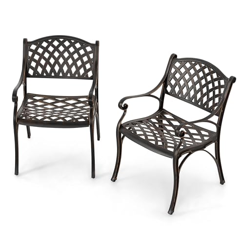 NUU GARDEN Cast Aluminum Patio Dining Chairs with Armrests for Indoor Outdoor Bistro Chairs for Balcony, Backyard, Garden, Black with Bronze Edge