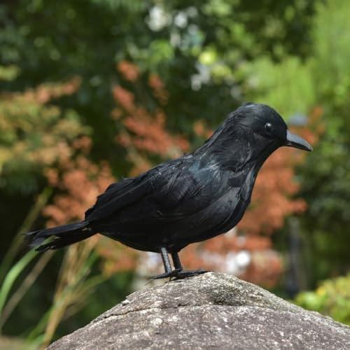 Corbeaux d'Halloween : pack de 12 oiseaux pour décor effrayant - 6