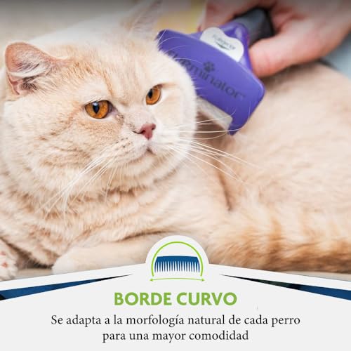 FURminator: Herramienta para eliminar pelo de gatos de pelo corto