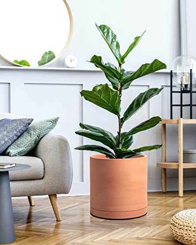 X-Large 12 Inch Terracotta Plant Pot With Drainage Hole And Saucer, Round Cylinder Planter Pot For Indoor Plants, 40-B-T-12-1 #TOP1