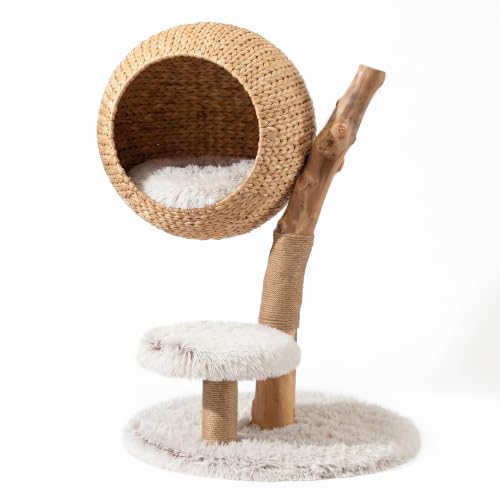 Fudajo Kratzbaum Zweigdesign mit Katzenkorb 83 cm hoch, Designer Katzenkratzbaum mit Liegekorb in Flecht-Optik, Katzenbaum aus Holz mit Plüsch