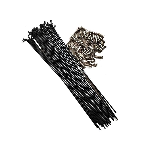 Rayons de vélo 14G en acier inoxydable durable pour route et pliant 269mm