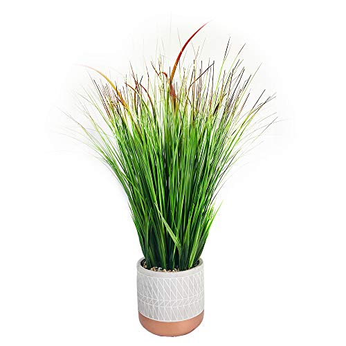 Onion Grass Pot 25"