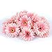 cn-Knight Artificial Daisy Heads 20pcs Mums Flower Head Chrysanth Gerbera for Hat Trim Cake Flower Home DÃ©cor Flower Wall Wreath Wedding DIY(Pink)