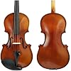Violin 1/16-4/4 Violin with Canvas Case and Brazil Bow for Students, Beginners Aldult (Color : 1/16)