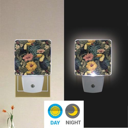 Lámpara de noche LED sensor crepúsculo Aslsiy multicolor miniatura 5