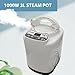 HOSOUTION 3L Sauna Steamer, Fcc Certified 3L & 1000W Steam Generator, Sauna Steamer Machine with Remote Control, Portable Sauna Steamer with Sturdy Lid and Explosion-Proof Interior, Black