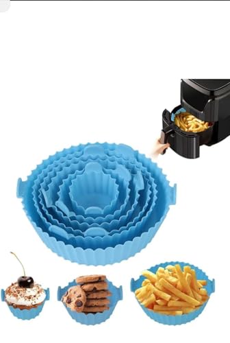 ROYAL PRODUCT 6 Pcs Non Stick Reusable Silicone Air Fryer