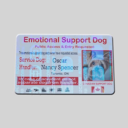 Carte portefeuille holographique pour chien de soutien émotionnel, carte d